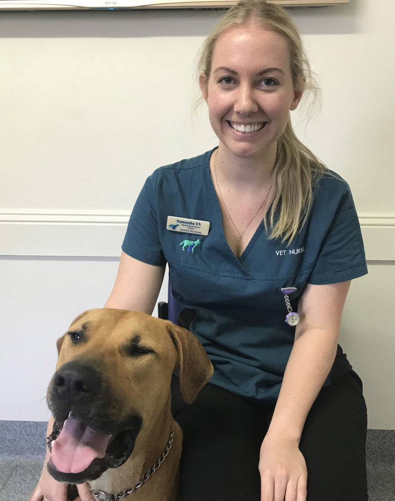 Sam | Pine Mountain Vet Clinic, Ipswich Vet Group