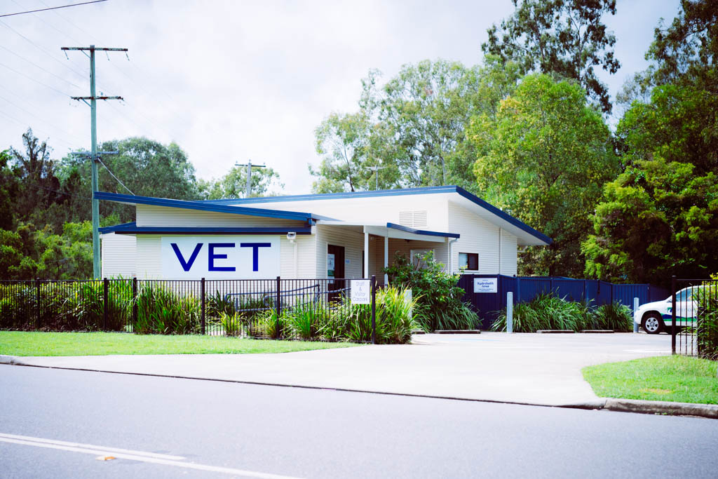 Our Clinic | Pine Mountain Vet Clinic, Ipswich Vet Group