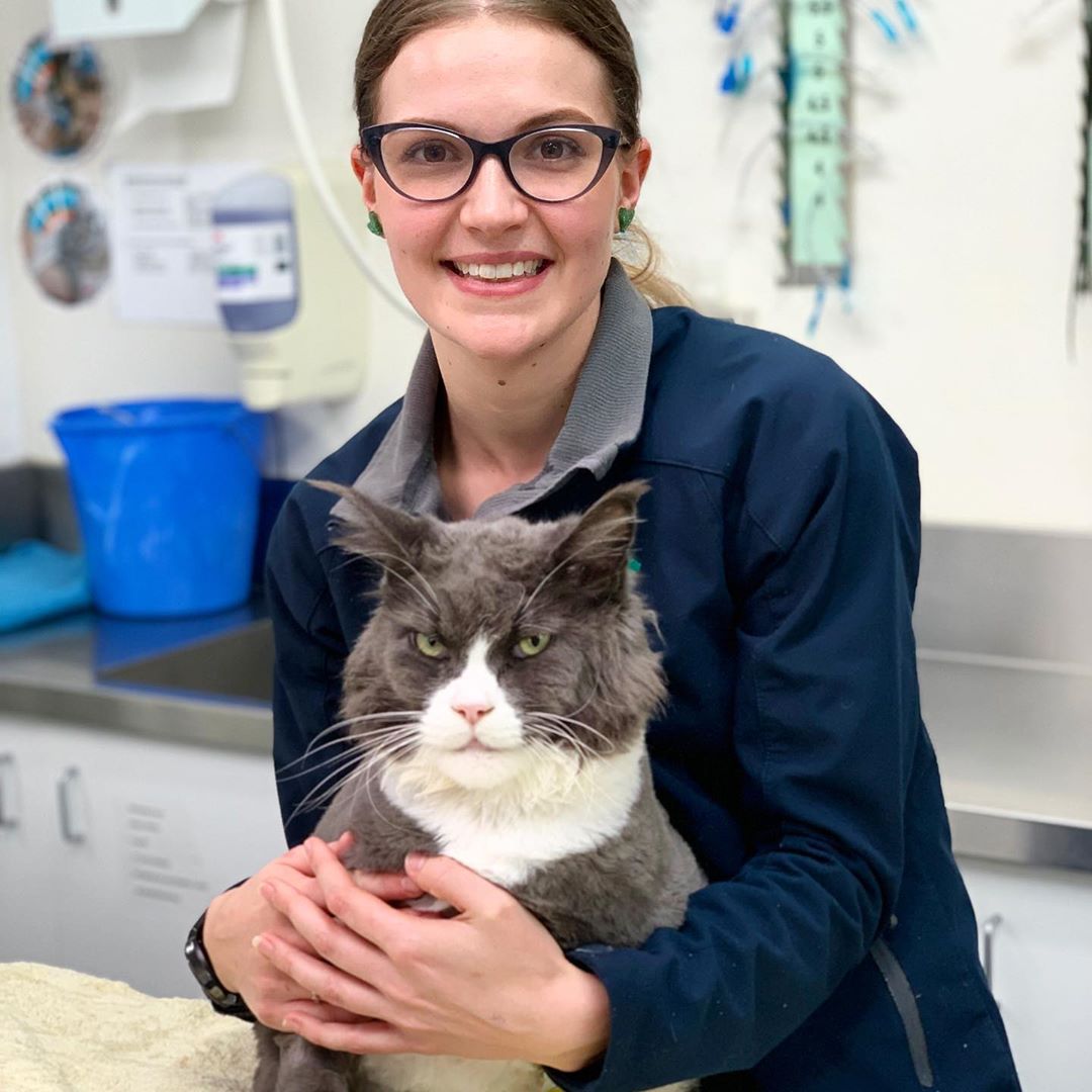 Olivia Pine Mountain Vet Clinic, Ipswich Vet Group